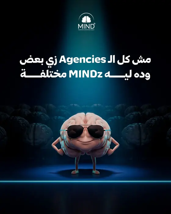 MINDz brain poster: Not all agencies are the same